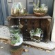 Atelier Terrarium