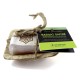 MINI-SAVON AYURVEDIQUE BASILIC