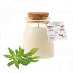 NAO BOUGIE PARFUMEE VERVEINE 120G